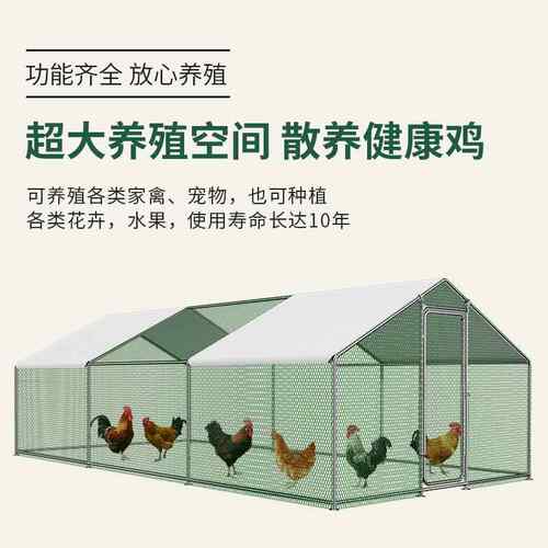 鸡笼子鸡棚家用养殖笼鸽笼大号特大孔雀养鸡笼子防老鼠蛇搭建户外