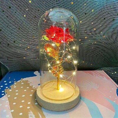 Valentines Day Gift for Girlfriend Eternal Rose LED Light