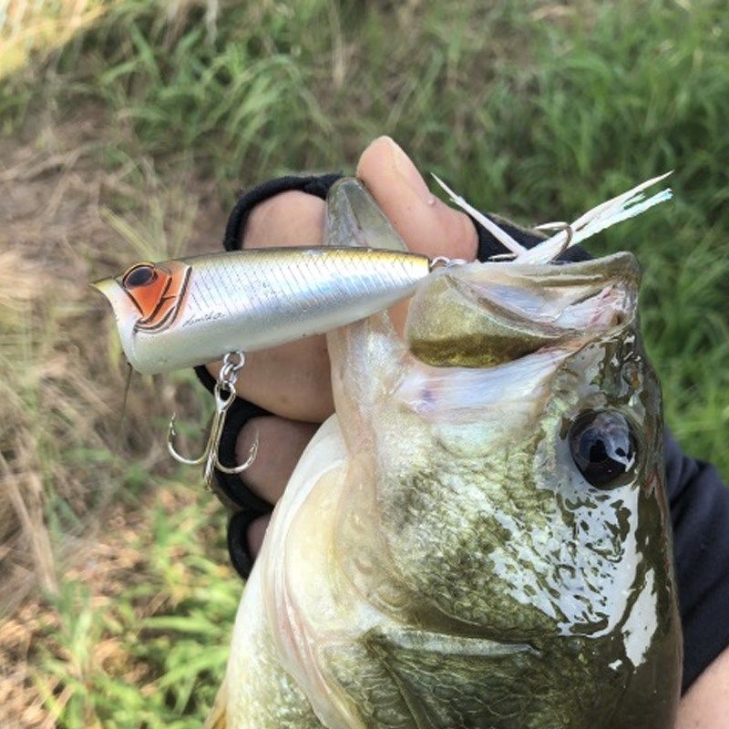 日本O.S.P波爬Louder微物50小型60远投70水面路亚饵翘嘴鲈鱼假饵,户外/登山/野营/旅行用品,路亚饵,淘宝优惠券,粉丝福利购,淘宝优惠卷