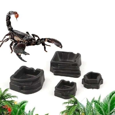 XX9B Reptiles Water Feeders Water Dispenser Waterer Feeding