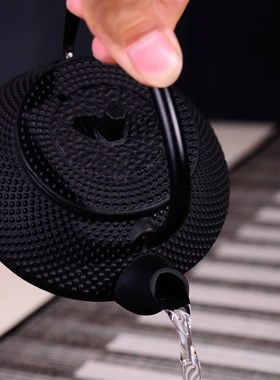 典工堂中式茶壶小粒子功夫茶壶铁壶铸铁壶南部生铁壶配滤网复古风