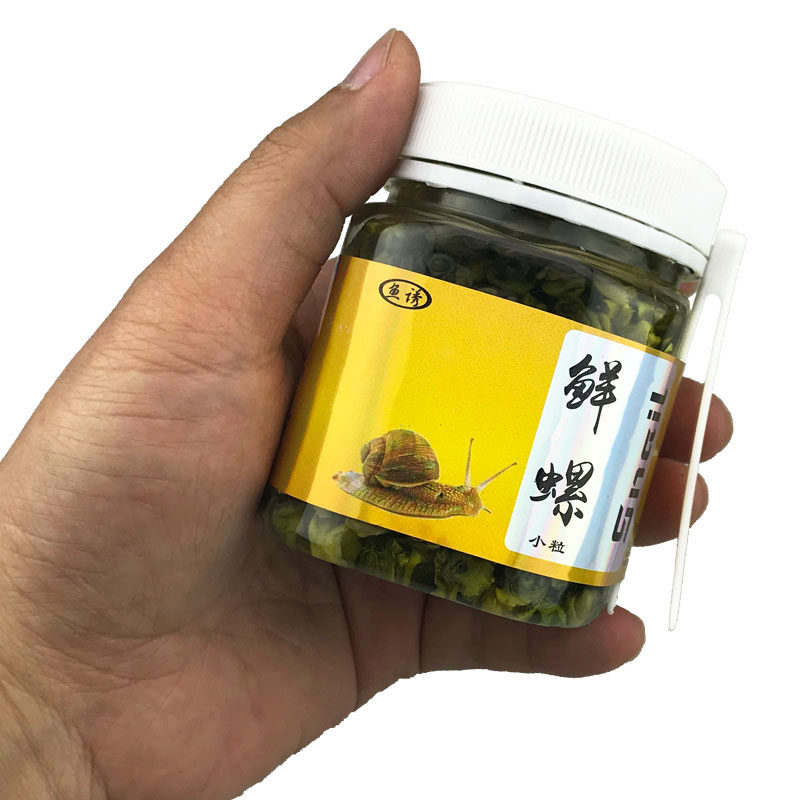 鲜螺肉钓鱼饵大物巨青鱼鲤鱼鲟鱼黑鱼螺蛳肉爆炸钩串钩螺丝鱼饵料,户外/登山/野营/旅行用品,台钓饵,淘宝优惠券,粉丝福利购,淘宝优惠卷