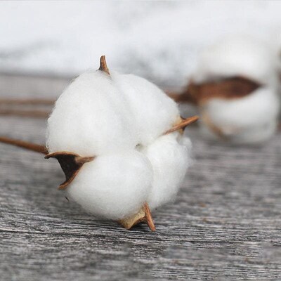 Artificial Dried Cotton Flowers White Flower Branch For Wedd