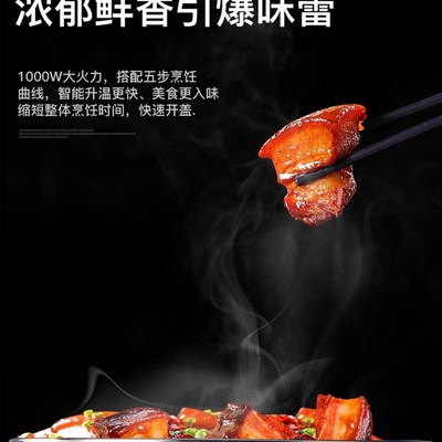 龙的电压力锅家用胆升大容量高压锅智能预约多功能饭煲