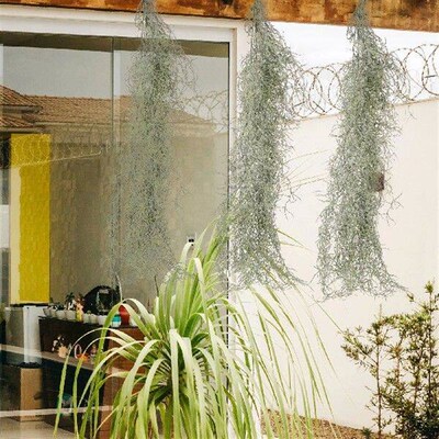 Artificial Dried Flowers Fake Plant Hanging Moss Decor for