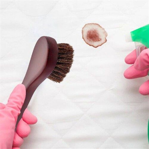 3 Pcs Clean Polish Boot Brush Horse Hair Kiwi Shoe