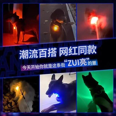 Glowing Dog Collar, Pet Night Light, Leash Light, Neck Colla