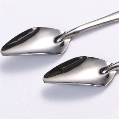 Pet Bird Feeder Spoons Bulk 10Pcs Newborn Bird Feeding