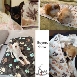Soft and Fluffy High Quality Pet Blanket Cute Cartoon Patter