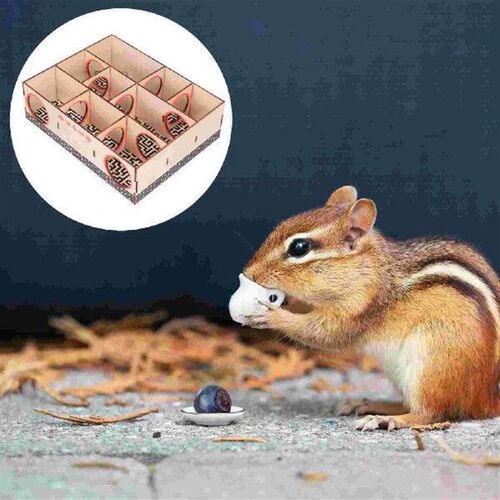 Molar Hamster Toy Baby Bedding for Guinea Pigs Wooden Tubes