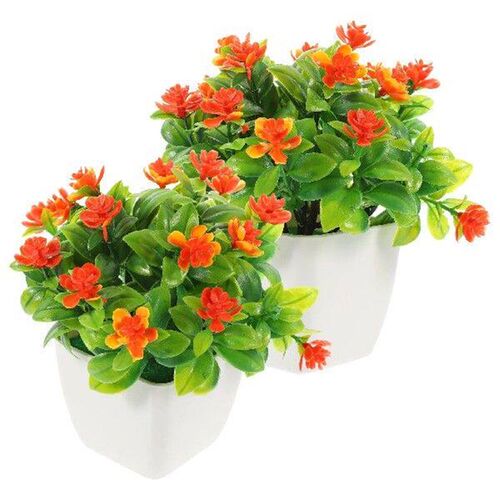 2 Pcs Small Indoor Plants Potted Rose Ornamental Bonsai