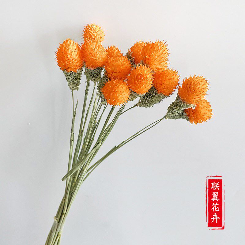 Strawberry Fruit Dried Flowers Strawberry Ball Mixed Bouquet图片