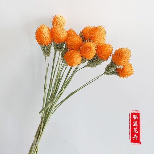 Strawberry Fruit Dried Flowers Strawberry Ball Mixed Bouquet