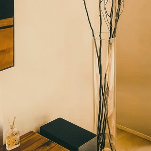 龙柳花瓶玻璃超高0cm高款插花长枝龙柳枝鲜枝高筒高身