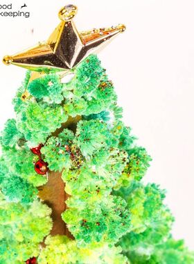 3 Types 14cm Magic Growing Christmas Tree DIY Fun Xmas Gift