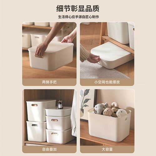 Desktop Storage Box with Lid for Home Kitchen Organization,