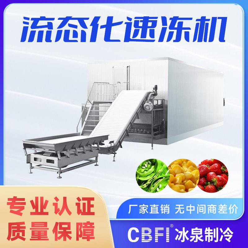 流态化速冻机速冻水果蔬菜大产量生产500kg/h起广州冰泉厂家直销