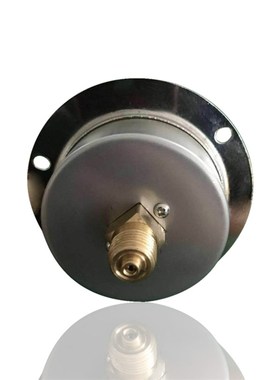 轴向带前边不锈钢膜盒负压表不锈钢真空表YE0 -KP G1/ 厂直销