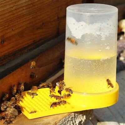 3Pcs Bee Waterers Transparent Visible Bee Drinking Cups