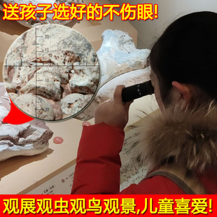 望远镜单筒十字线瞄准测距坐标刻度七洲瞰8X21高清近焦微距虫虫镜