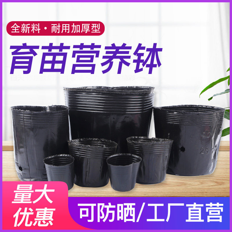 营养钵育苗盆营养袋营养杯育苗种植穴盆育苗杯一次性加厚塑料穴盘