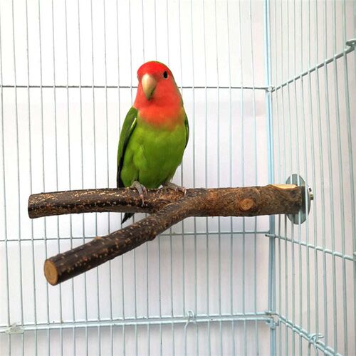 15/20cm Natural Wood Pet Parrot Raw Wood Fork Tree Branch St