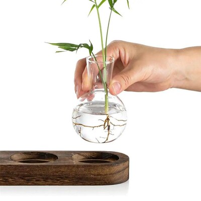 Modern Transparent Hydroponics Glass Vase with Wooden Tray C