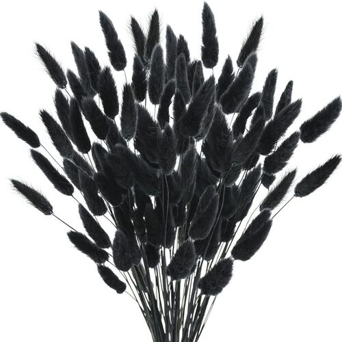 Manufacturer In Stock Home Decoration Dried Rabbit Tail Flow