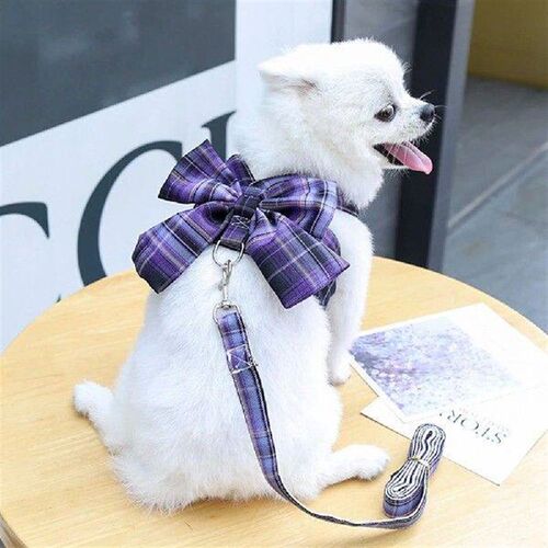 New Pet Dog Dress Skirt with Harness Leash Kit Dog Cat Vest