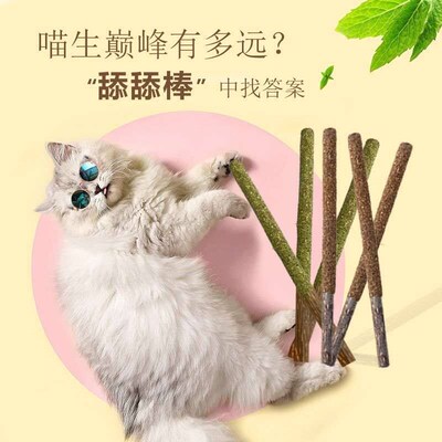 Catnip Bite Stick Catty Fun Cat Stick Catnip Insect Gall Fru