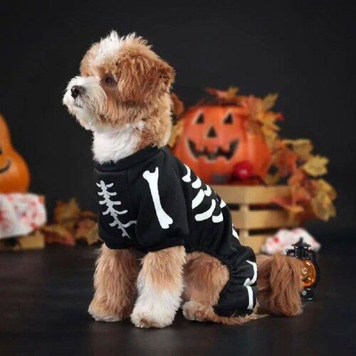 Pet Glow Costume Skeleton Jumpsuit for Small Medium Dogs
