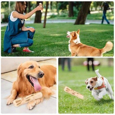 Teeth Clean Wood Stick Safe Dog Teething Toy Stick Natural
