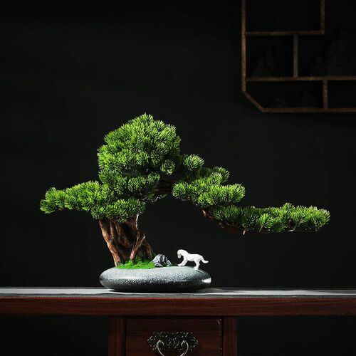 Real Pine Bonsai Lohan Pine Flower Pot Home Welcome Pine Rea