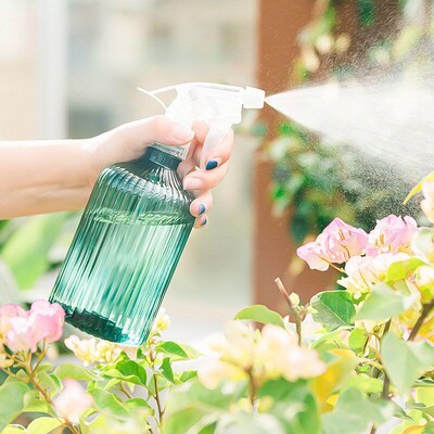 500ml Watering Can Household Large Capacity Plant Spray Ket