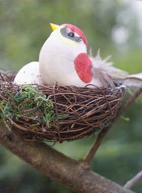 田园森系天然手工制小鸟窝鸟巢装饰摆件麻雀鸟蛋羽毛庭院花园布置