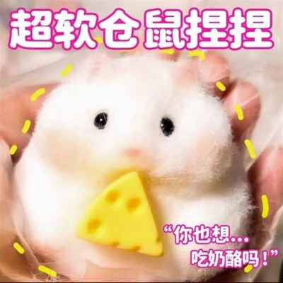 Taba Squishy Toy Mushy Silicone Mochi Toy Fuzzy Cute Hamster