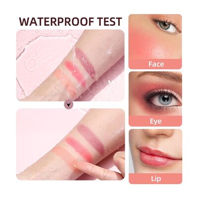 Face Liquid Blush Eyeshadow Cheeks Makeup With Cushion Appli