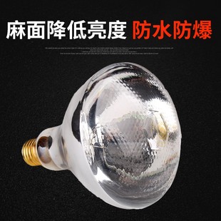 猪博士猪用养殖专用保温灯加厚防水防爆兽用取暖加热灯泡猪圈设备