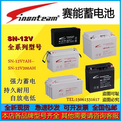 Sinonteam赛能蓄电池SN-12V100CA SN-12V7CA SN-12V65CA12V电池