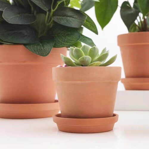 20 Pcs Mini Flower Planting Holder Lovely Pots Containers