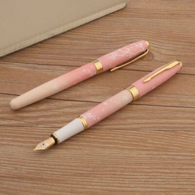 1PC Pen + 10PC Ink Metal 83 Fountain Pen Pink Flowers F Nib