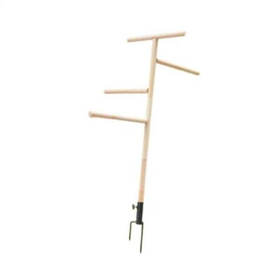Bird Perch Stand Parrot Perch Coop Accessories Wooden Chick