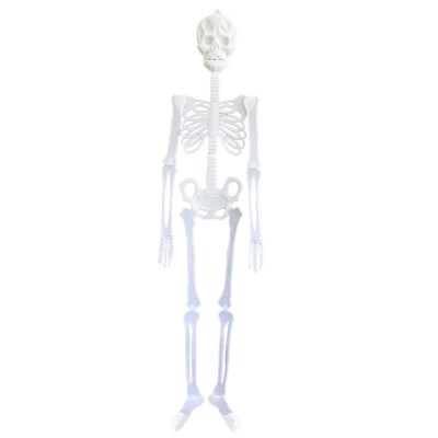 Spooky glow-in-the-dark skeletons decorated for Halloween