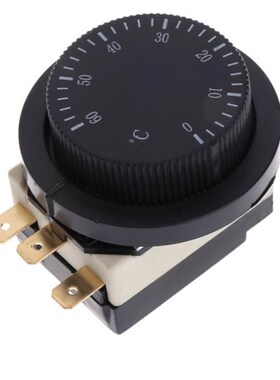 0-60 Degree Temperature Control Switch Capillary Thermostat
