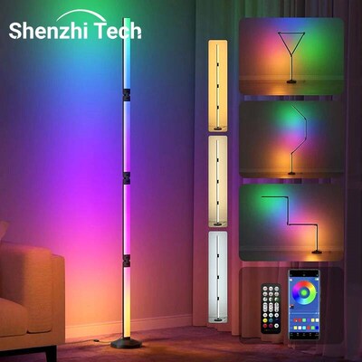 Floor Lamp LED with Remote Control, Voice & App Control, Mus