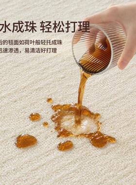 硅藻丝地毯客厅简约奶发风油防水防污高级感卧室gzs27925茶几沙机