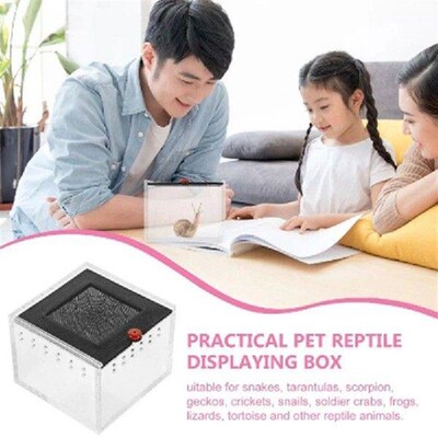 Spider Enclosure Small Insect Breeding Box Prevent Escape