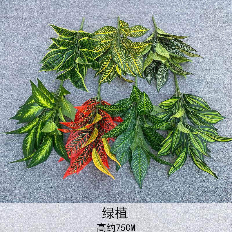 盆栽绿植家居客厅摆件插花景观设计婚庆摄影道具森系婚礼婚庆