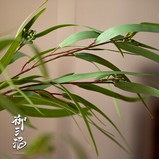 仿真绿植柳枝假花藤条枝装饰柳枝假干枝家居摆设花客厅装饰花艺