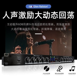 格伦士顿GL20/GL/GL100多功能集线防啸叫反馈抑制器人声激励器